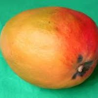 Mangue zanzibar 1 kg
